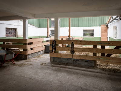 Bild 18 aus  Gut Royum