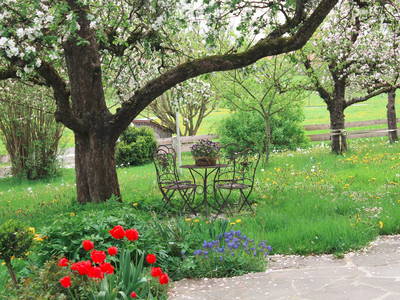 Bild 14 aus  Doasahof