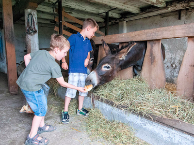 Bild 14 aus  Ferienhof Siber