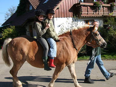 Bild 15 aus  Ferienhof Markhart