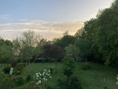 Bild 9 aus  Ostsee Lodge Lippingau