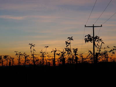 Bild 14 aus  Haus Sonnengruß