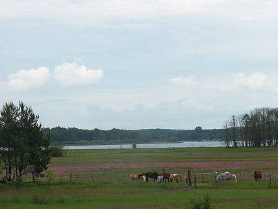 Bild 7 aus  Pferde- und Freizeithof Koplin