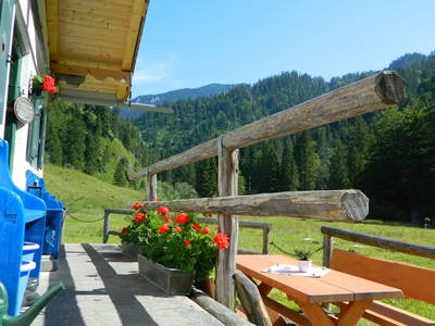 Bild 7 aus  Cölestinhof