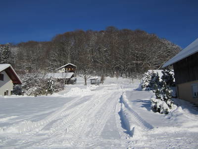 Bild 16 aus  Ferienhof Stetter