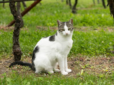 Bild 44 aus  Neuhauserhof