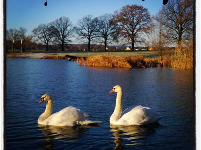 Bild 12 aus  Gut Sommereichen