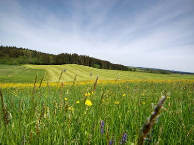 Bild 10 aus  Ferienhof Rummel