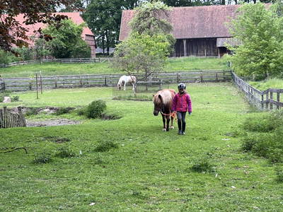 Bild 20 aus  Pension Eichenhof , Räderloh