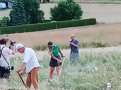 Sommerfest und Sensen-Mähen  Juli 2023 in Laudenbach/ Trusetal
