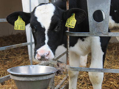 Bild 11 aus  Ferienhof Gertz