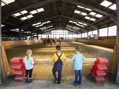 Bild 72 aus  Ferienhof Pulte