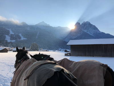 Bild 5 aus  Bichlerhof