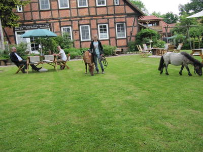 Bild 3 aus  Ferienhof Knoop