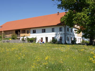 Frühlingserwachen am Lettigenbichl