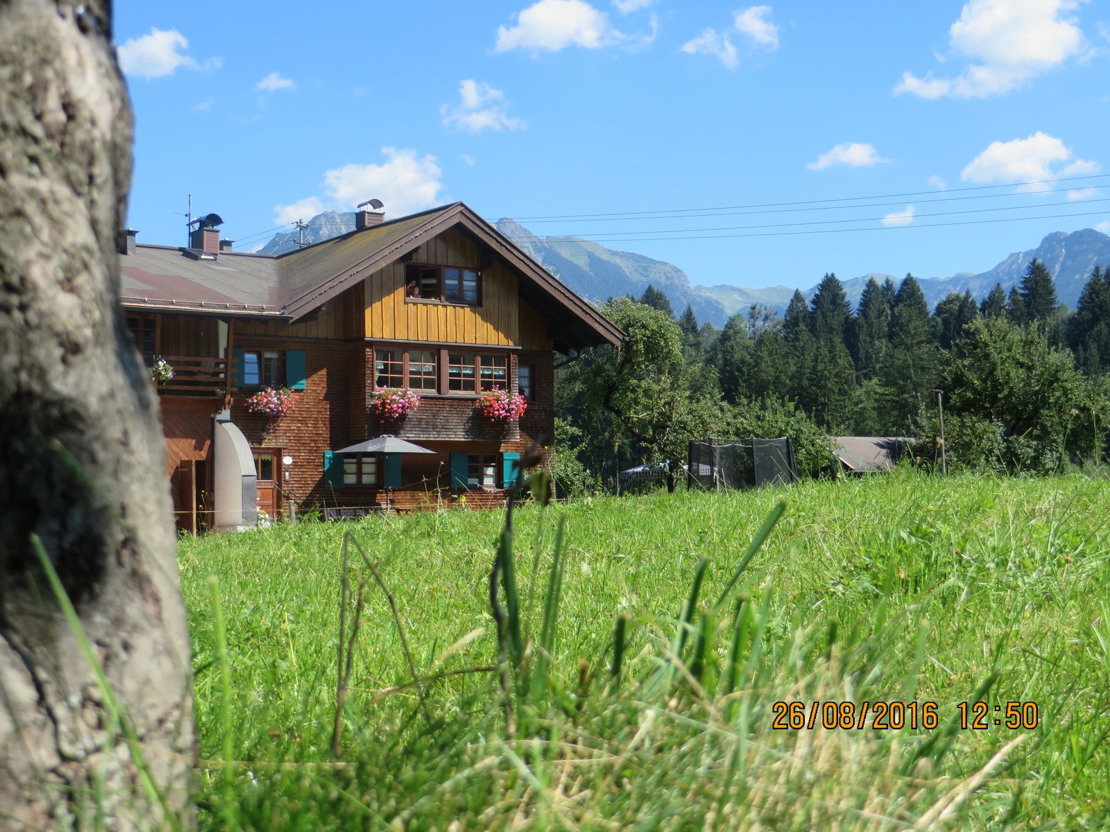 Landhaus Alt mit Bauernhof