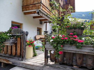 Bild 20 aus  Ferienwohnungen Perfeldhof