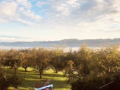 Bild 69 aus  Familien-Bauernhofurlaub im Herzen der Schweiz