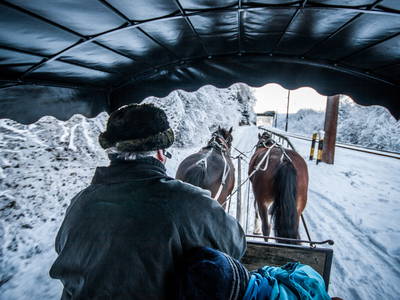 Bild 4 aus  Bichlerhof