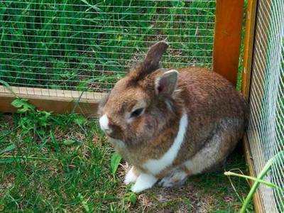 Bild 9 aus  Platzerhof