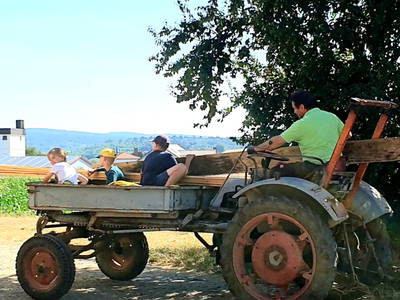 Bild 35 aus  Schmidts Ferienhof - Tierisch guter Urlaub im Herzen Deutschlands