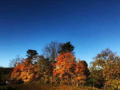 Herbst in Schönlind