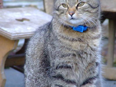 Bild 20 aus  Ferienhof Wilfert