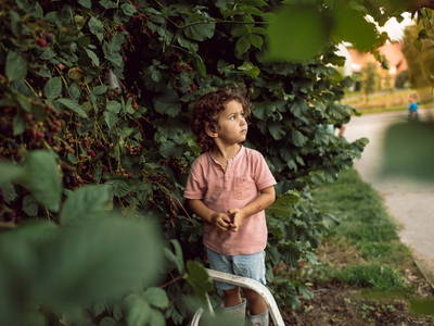 Bild 22 aus  Ferienbauernhof Storchenhäusle