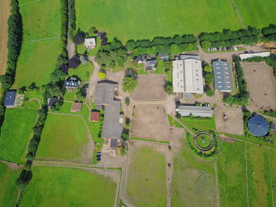 Bild 30 aus  Gestüt Hof am See