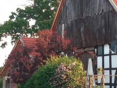 Giebel des Haupthauses von 1896