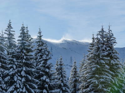 Bild 46 aus  Ferienwohnungen Perfeldhof
