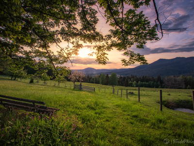 Bild 40 aus  Arber Lofts