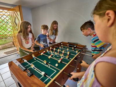 Bild 44 aus  Urlaub am Schoffahanslof im Bayerischen Wald: Natur, Abenteuer & Erholung für die ganze Familie“