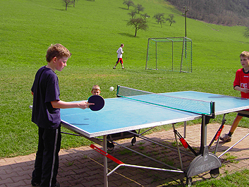 Bild 11 aus  Ramsteinerhof