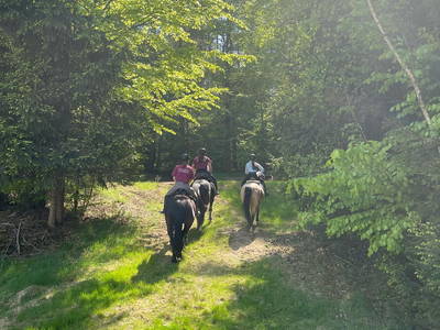 Bild 14 aus  Reitschule Fuchsenhof FN