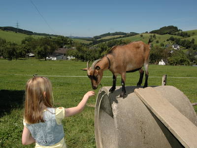 Bild 2 aus  Bauernhof Gördes