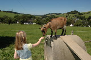 Bauernhof Gördes aus Schmallenberg