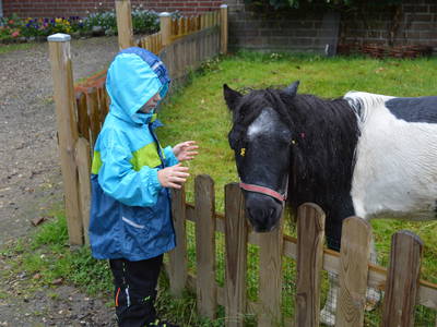 Bild 15 aus  Ferienhof Peter -  Ponys - streicheln, striegeln, füttern  -  Wattwanderungen + ganz viel Nordsee