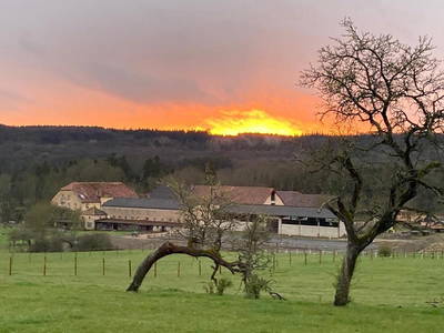 Bild 2 aus  Gutshof Hungerburg