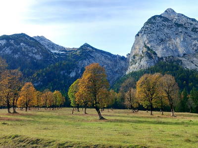 Bild 20 aus  Lettnerhof