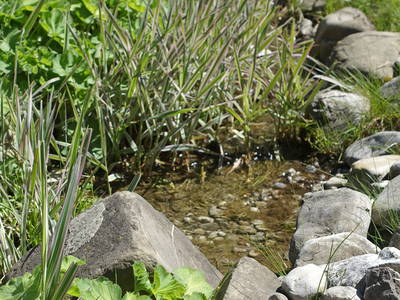 Bild 33 aus  Gmeinder's Landhaus