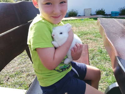 Bild 36 aus  Marienhof