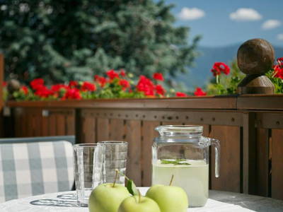 Bild 13 aus  Urlaub auf dem Bauernhof - Wiedmairhof in Algund - Meran