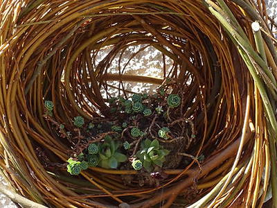 Bild 14 aus  BIO Ferienhof Schütterle