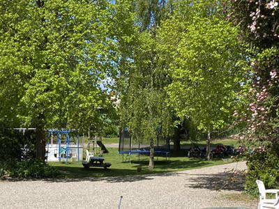 Bild 75 aus  Ferienhof Messer  Bauernhofurlaub  Ostseenähe  Ponys