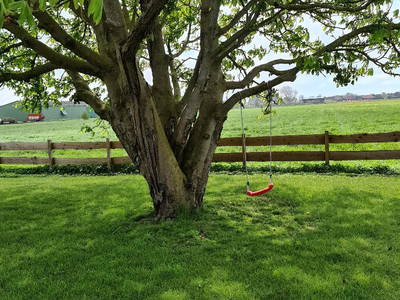 Bild 16 aus  Dein Ankerplatz