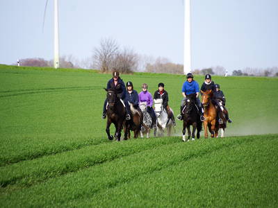 Bild 18 aus  LandSelection Gut Gaarz