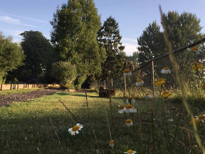 Bild 65 aus  Ahoi Ostsee:  Bauernhof und OstseeUrlaub - Ferienhof Becker in Dahme