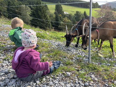 Bild 28 aus  Sunmattehof