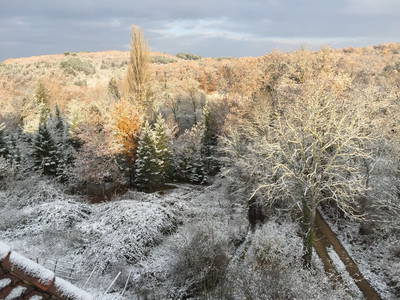 Bild 217 aus  Le Colombié - Ferienhäuser an der Dordogne mieten